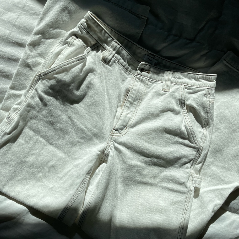 Aritzia TNA painter pants